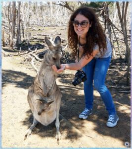 Canguro con piccolo nel marsupio (animali australiani)