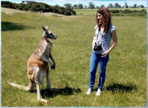 Canguro rosso (animali australiani)
