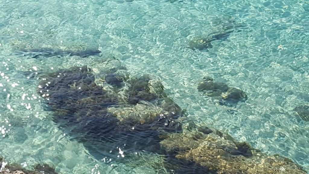 mare cristallino - Spiagge Malta