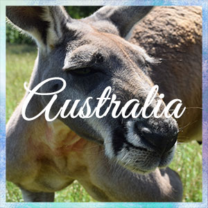 I miei viaggi - Australia