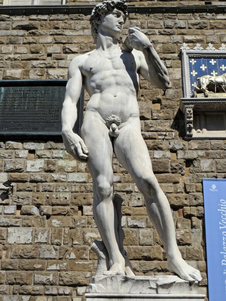 Firenze in un giorno, il David di Michelangelo
