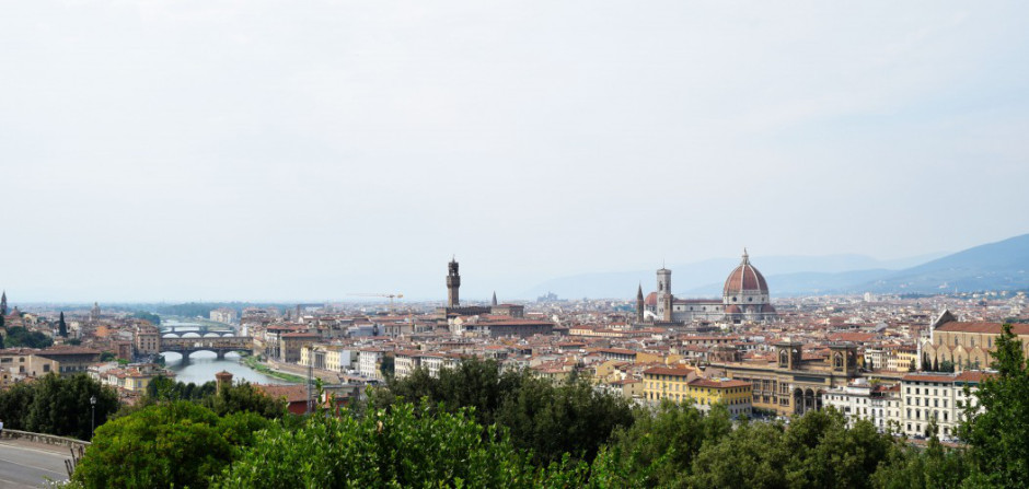 Firenze in un giorno, panorama della città