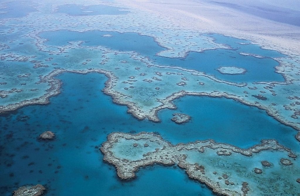 Grande Barriera Corallina, Australia