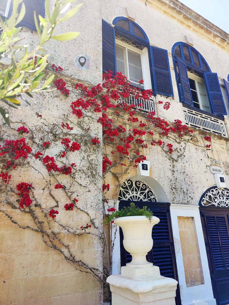fiori e palazzo antico Mdina Malta