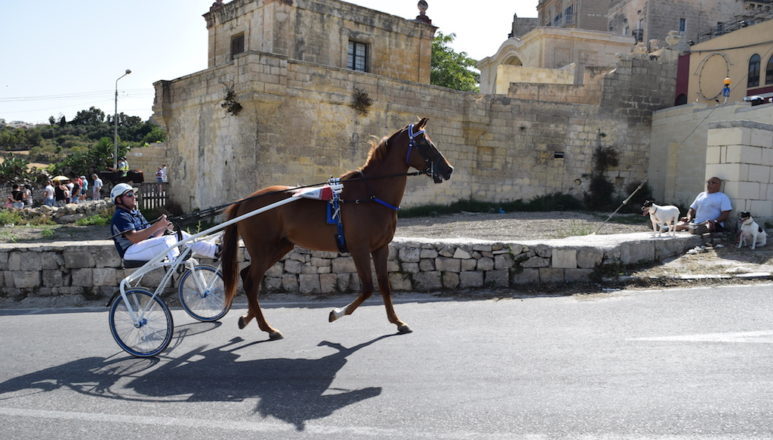 Il festival di l-imnarja, Palju di Rabat, Mdina